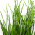 Трава искусственная -4, шт  (осока 50 см/8 см  7 листов)				 - купить в Бердске. Цена: 130.73 руб.
