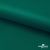 Ткань подкладочная Таффета, 19-5420, 53 г/м2, антистатик, шир. 150 см, вечнозеленый - купить в Бердске. Цена 57.16 руб.