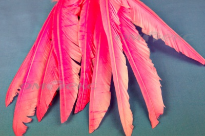 Декоративный Пучок из перьев, перо 25см/розовый - купить в Бердске. Цена: 14.40 руб.
