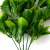 Трава искусственная -1, шт (эвкалипт лист 32 см/8 см)				 - купить в Бердске. Цена: 169.93 руб.