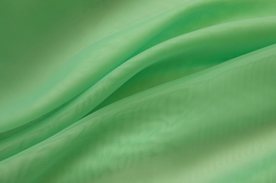 Портьерный капрон 15-6123, 47 гр/м2, шир.300см, цвет св.зелёный - купить в Бердске. Цена 137.27 руб.