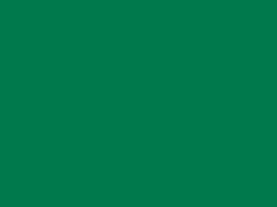 85 см № 258 яр. зеленый спираль (G) сорт-2 - купить в Бердске. Цена: 16.97 руб.