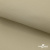 Ткань подкладочная TWILL 230T 14-1108, беж светлый 100% полиэстер,66 г/м2, шир.150 cм - купить в Бердске. Цена 90.59 руб.
