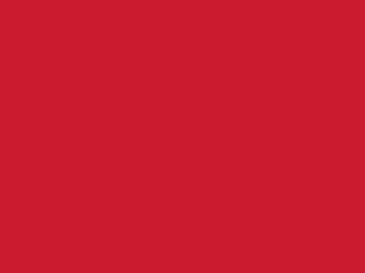 Сетка подкладочная красный, 60г/м2 (10 м/кг) - купить в Бердске. Цена 885.73 руб.