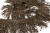 008-коричневый, Бахрома арт.001 шир.10см (упак.12+/-0,5м) - купить в Бердске. Цена: 1 017.33 руб.