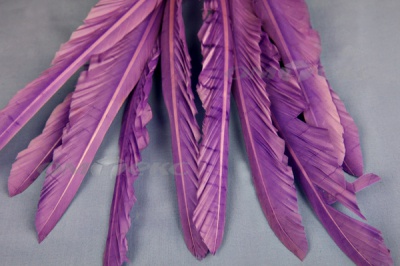Декоративный Пучок из перьев, перо 25см/фиолетовый - купить в Бердске. Цена: 12.19 руб.