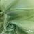 Ткань органза, 100% полиэстр, 28г/м2, шир. 150 см, цв. #27 зеленый - купить в Бердске. Цена 86.24 руб.