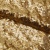 Сетка с пайетками №3, 188 гр/м2, шир.140см, цвет золотой - купить в Бердске. Цена 458.76 руб.