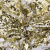 Трикотажное полотно, Сетка с пайетками, шир.130 см, #315, цв.-белый/золото - купить в Бердске. Цена 693.39 руб.