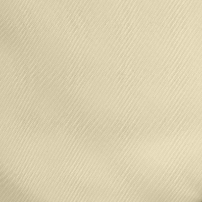 Ткань подкладочная Таффета 14-1014, антист., 54 гр/м2, шир.150см, цвет бежевый - купить в Бердске. Цена 65.53 руб.