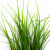 Трава искусственная -3, шт (осока 50 см/8 см  5 листов)				 - купить в Бердске. Цена: 124.17 руб.